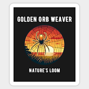 Orb Weaver Spider Web Sticker